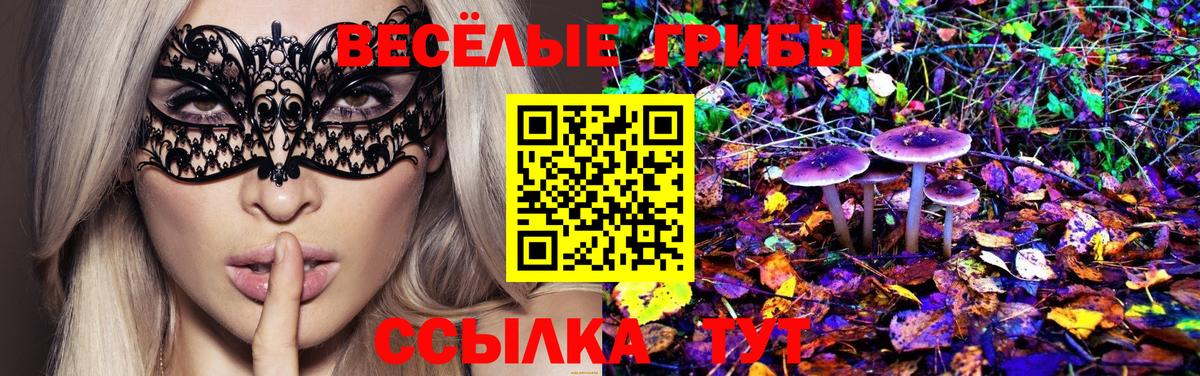 Галлюциногенные грибы GOLDEN TEACHER  Псилоцибиновые грибы MAGIC MUSHROOMS  Вход с VPN  Темрюк 